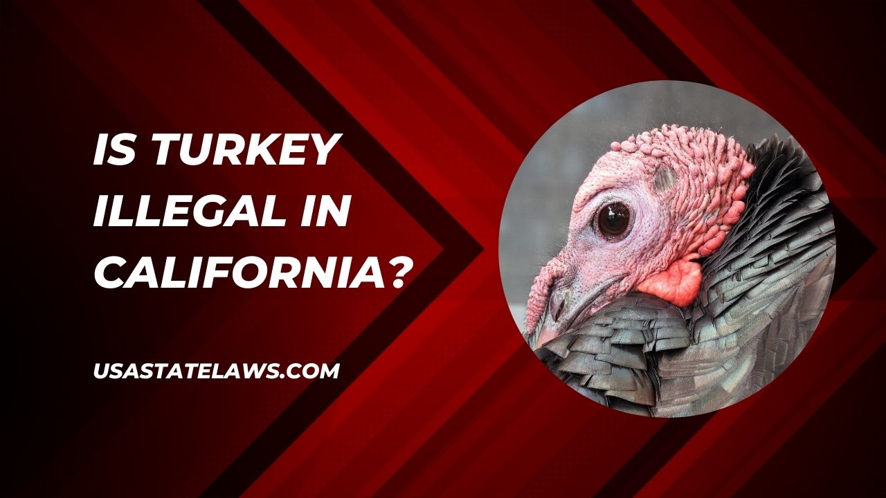 Is Turkey Illegal In California